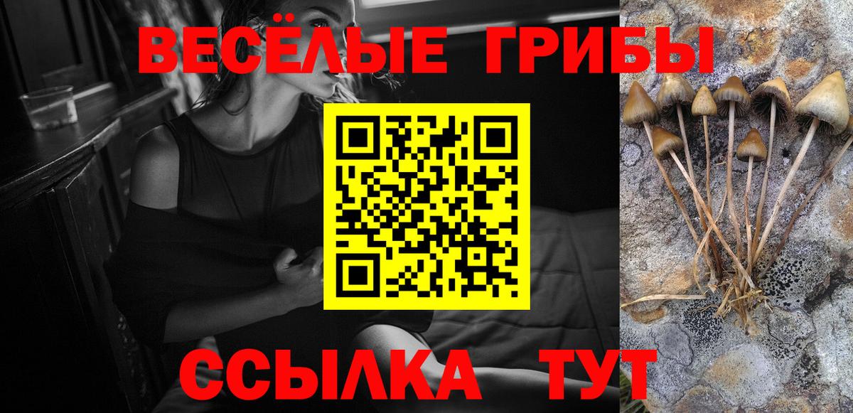 Шахты  Галлюциногенные грибы прущие грибы  Вход с VPN 